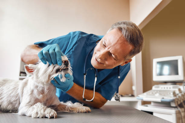 Best Pediatric Emergency Dentist in Lincoln Beach, OR